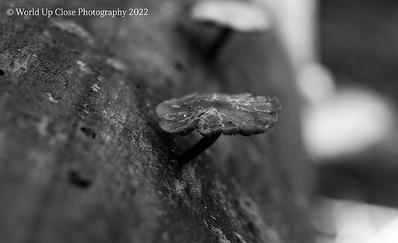 Hanging off the Edge