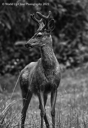 Standing Tall