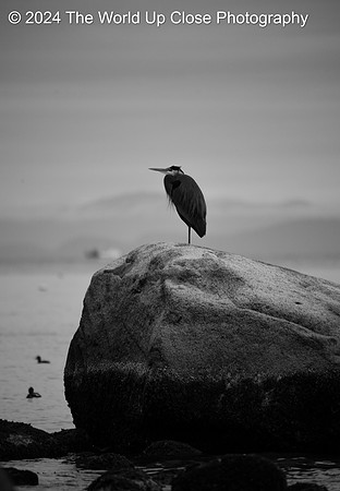 Waiting for a Storm